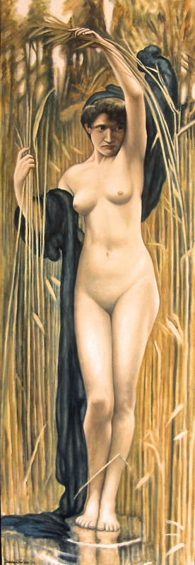 Nude in the Reeds